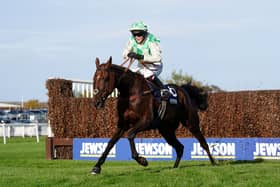 Celebre D’Allen in action at Aintree in 2023
