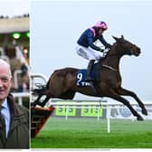 Irish fans rushing to bet on 'dead cert' Willie Mullins Cheltenham accumulator
