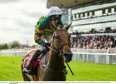 Mystical Power PIC: Sportsfile