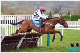All eyes on Willie Mullins' brilliant Blackburn at Punchestown