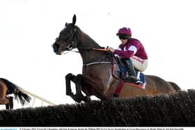 Favori De Champdou at Navan Racecourse in February PIC: Sportsfile