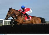 Cheltenham Day 3 tips - Gordon Elliott could have a big say with 12/1 shot