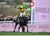 Galopin Des Champs wins the 2023 Cheltenham Gold Cup