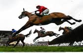 Maskada winning the Grand Annual in 2023 PIC: Sportsfile