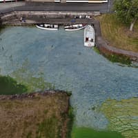 Bid to stop NI Water protection from environmental penalties on Executive table