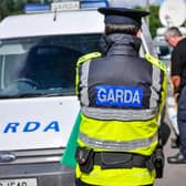A Garda officer, with their back to the camera, beside a Garda van parked on a street