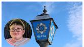 Search stood down for missing 14-year-old as Garda&iacute; issue update