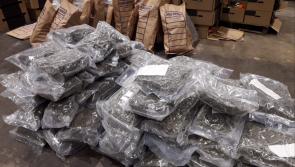 National: Dairy farmer linked to organised crime jailed over &euro;730,000 cannabis haul