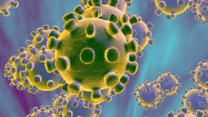 Kraken strain: Donegal people urged to top up immunity as new dominant strain of Covid-19 emerges