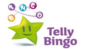 National: Check your ticket! €100,000 Snowball prize split by two Telly Bingo players
