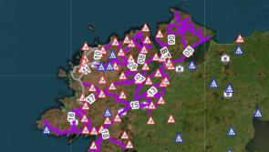 Gritters back in action tonight

