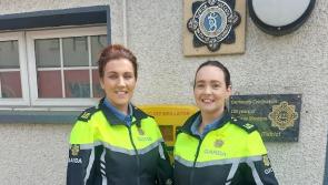 'True heroes': Quick-thinking Donegal Gardai save teenager's life