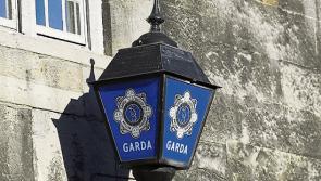 National: Gardaí renew their appeal for information on double fatality