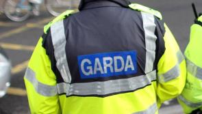 National: Man dies in single vehicle collision in Mayo