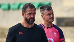 Rugby World Cup: Ireland v New Zealand - date, time, odds and where to watch