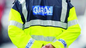 National: Garda&iacute; seize over &euro;130,000 worth of drugs in Dublin