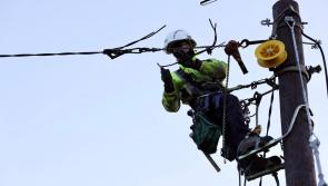 National: What the peck? Woodpeckers spark electricity outages