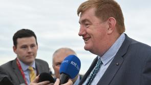 Irish race horse, who cost €850, nets €700k with remarkable Kempton victory