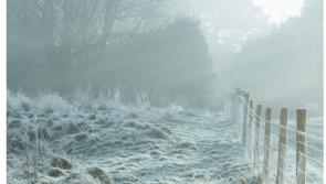National: Met Éireann says animal welfare at risk as cold weather warning issued