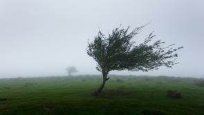 National: Met Éireann issues warnings with five counties pinpointed for battering 