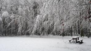 PICTURES: Ireland transforms into a picture-perfect winter wonderland