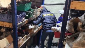 National: Two arrests in Ireland during 'day of action' targeting European crime gang
