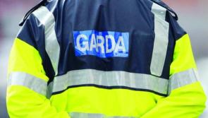 National: Three arrested following searches in two counties as gardaí target human trafficking gang  