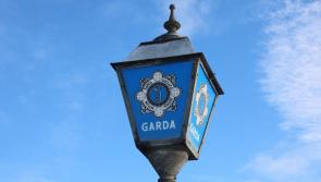 National: Gardaí confirm search for missing man stood down following discovery of body