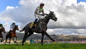 The &euro;10 Cheltenham tips accumulator that could win you &euro;250