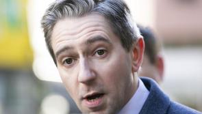 Taoiseach says he has "significant concerns" about University Hospital Limerick and overcrowding