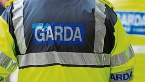 Seven arrested following pipe bomb seizure in Limerick