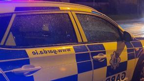 National: Gardaí make shocking discovery after stopping erratic driver 