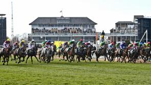 Letterkenny Live Grand National Sweepstakes 2 - the runners and riders