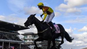 Early Punchestown weather forecast as racegoers prepare their race day style 
