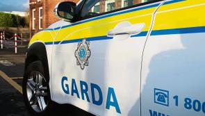 Man arrested, firearm seized during 'search and arrest operation' in Limerick and Tipperary