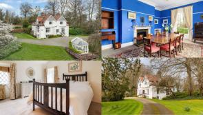 PICTURES: Michael Collins' alleged lover's historic home goes up for sale for &euro;1.65m