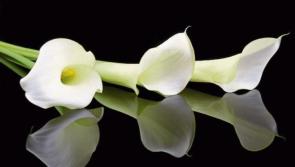 Deaths in Donegal, Wednesday evening, May 29, 2024