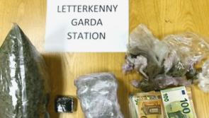 Large cannabis find in Letterkenny area