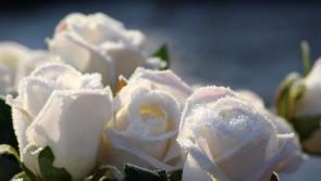 Death notices for Donegal on Tuesday morning, December 10
