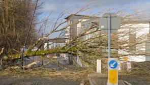 Safeguarding action yet to be taken after Storm &Eacute;owyn destroyed lives across the country