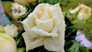 Death notices and funeral arrangements for Donegal on Saturday morning, July 5