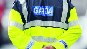 'Very distressing' - Search continues for missing boy in Dublin as Taoiseach issues warning to public