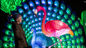 'Most dazzling theme yet' announced for Dublin Zoo Wild Lights  with return date announced