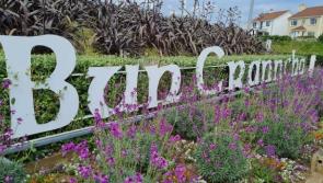 Beautiful Buncrana crowned Donegal’s tidiest town again
