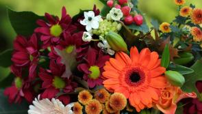 Death notices and funeral arrangements for Donegal on Tuesday morning, November 25