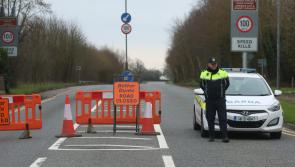 Woman (30s) killed in hit-and-run collision named locally as garda&iacute; continue investigation