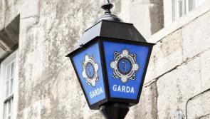 National: Gardaí arrest two teens following burglary at a business premises