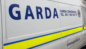 Gardaí arrest two men after shots fired in residential area
