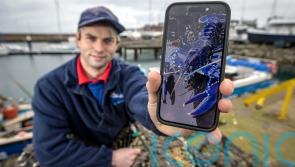  Fisherman beat 'one in two million chance' to catch rare blue lobster in NI lough