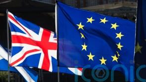 Tories urged to give Sunak ‘time and space’ over Northern Ireland Protocol deal